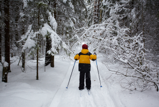 Cross Country Ski Program